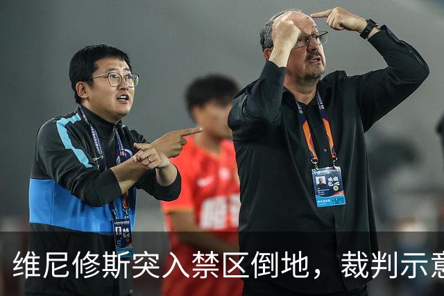 维尼修斯突入禁区倒地，裁判示意不是点球